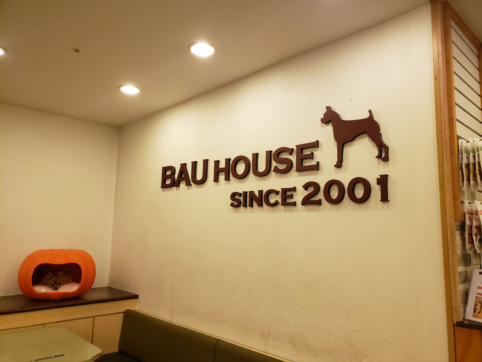 Welcome to Bau House